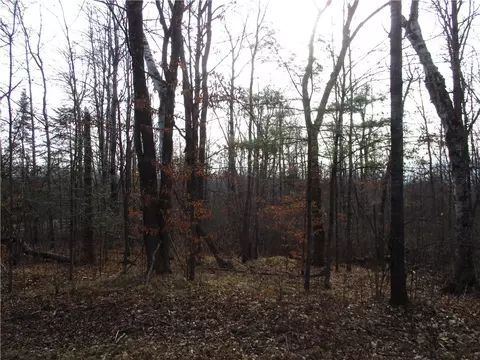 lot Apt 1 Independence Ave, Birchwood, WI 54817