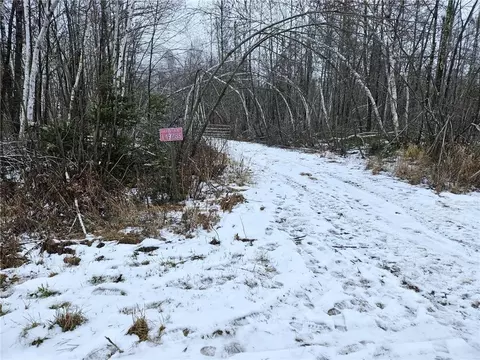 Nnn S Firelane, Dairyland, WI 54830