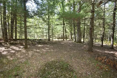 lot Apt 2 Olsen Rd, Webster, WI 54893 photo 5