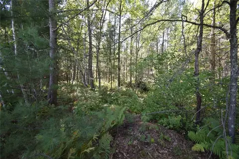 lot Apt 2 Olsen Rd, Webster, WI 54893 photo 6