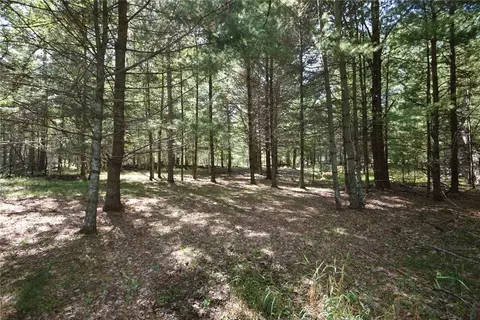 lot Apt 2 Olsen Rd, Webster, WI 54893 photo 3