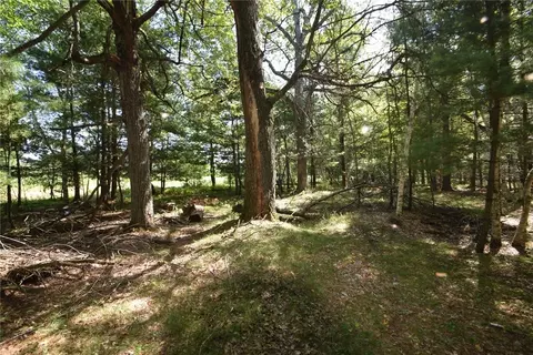 lot Apt 2 Olsen Rd, Webster, WI 54893 photo 4