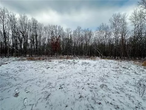 22803 Paulich Rd, Frederic, WI 54837 photo 18