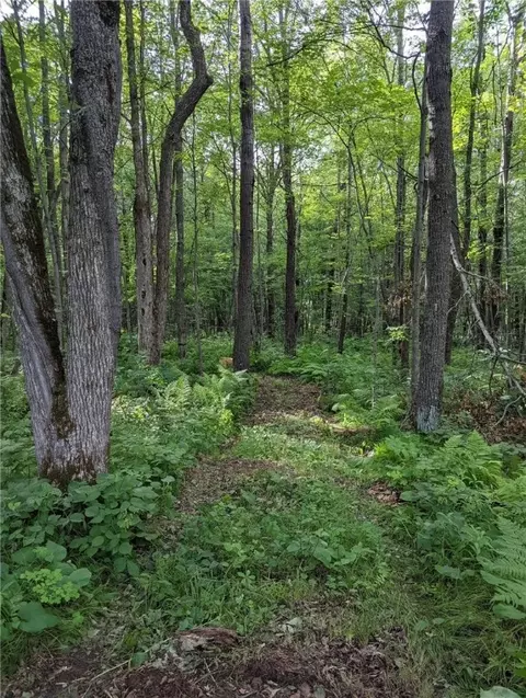 22803 Paulich Rd, Frederic, WI 54837