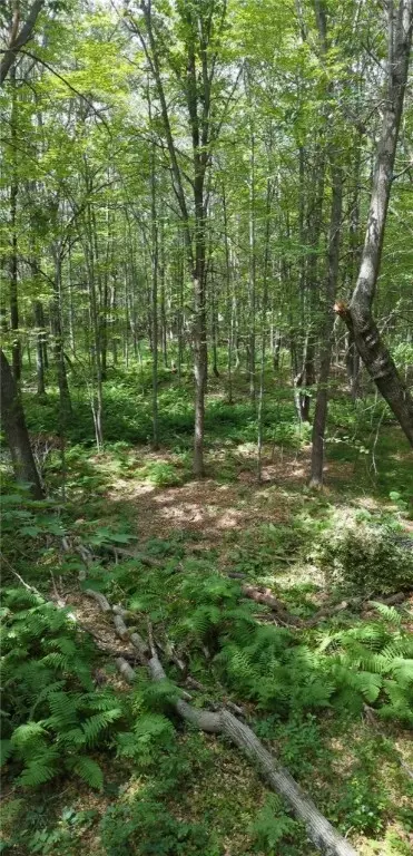 22803 Paulich Rd, Frederic, WI 54837 photo 5