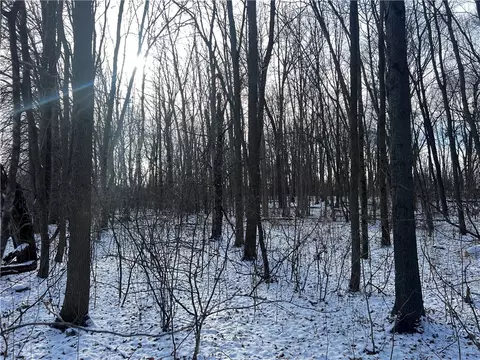 lot2 105th St, Amery, WI 54001