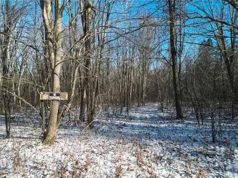 00 Kaufman Rd, Augusta, WI 54722 photo 8