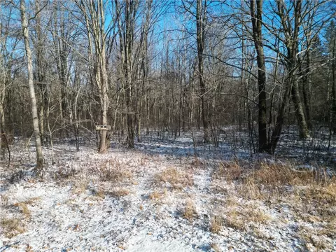 00 Kaufman Rd, Augusta, WI 54722 photo 4
