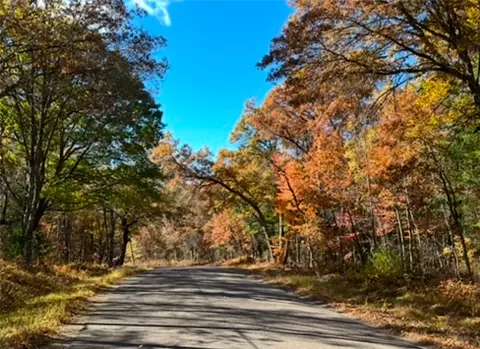 10 Acres Lot 10 295th Ave, Holcombe, WI 54745
