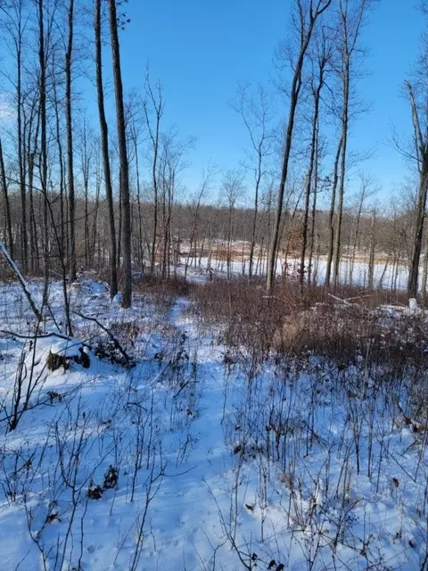 25 Acres Rollingwood Rd, Stone Lake, WI 54876