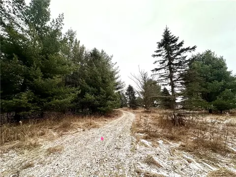 23 85 Acres 7 58 Ave, Chetek, WI 54728 photo 34
