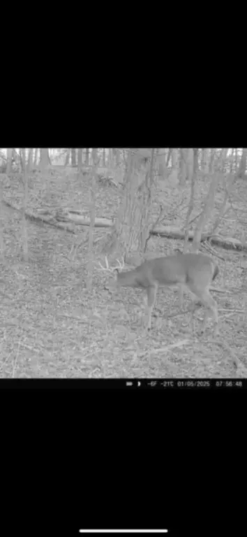 23 85 Acres 7 58 Ave, Chetek, WI 54728 photo 18