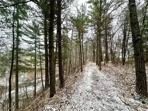 23 85 Acres 7 58 Ave, Chetek, WI 54728 photo 37
