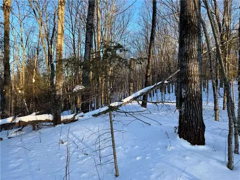 0 Austin Lake Rd, Webster, WI 54893 photo 4