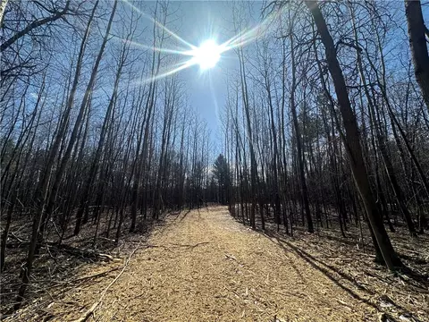 lot9 221- Acres 295th St, Holcombe, WI 54745