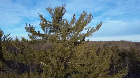5926 Cr W, Winter, WI 54896