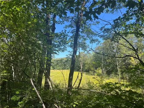 Parcel 4 County Highway T, Birchwood, WI 54817