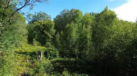 Parcel 9 County Highway T, Birchwood, WI 54817