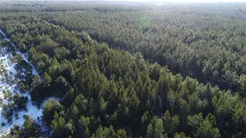 00000 Black Brook Rd, Webster, WI 54893