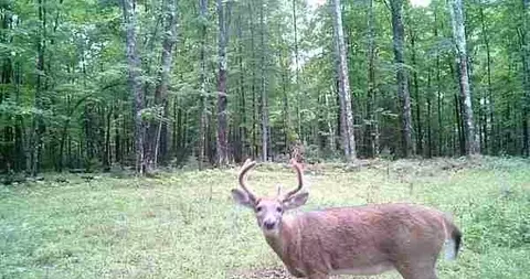 lot4 Off Highway 77, Hayward, WI 54843