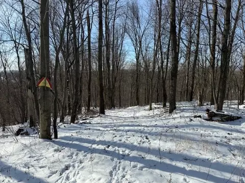 0 County Rd E, Osseo, WI 54758