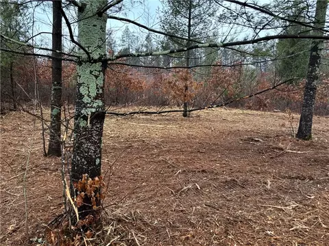 lot1 Olson Dr, Fall Creek, WI 54742