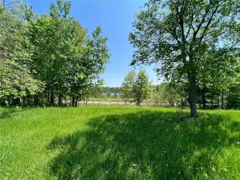 67 Acres Mclean Rd, Bruce, WI 54819 photo 11