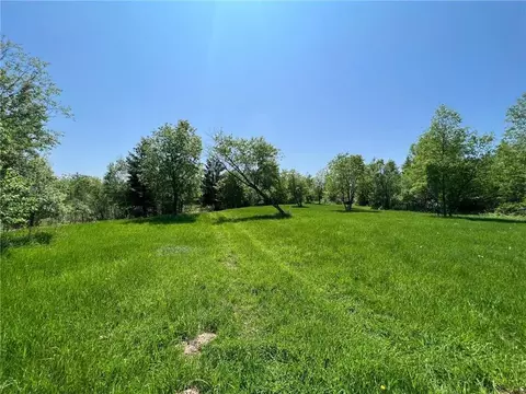 67 Acres Mclean Rd, Bruce, WI 54819 photo 12