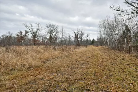 67 Acres Mclean Rd, Bruce, WI 54819 photo 7