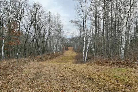 67 Acres Mclean Rd, Bruce, WI 54819