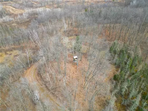 67 Acres Mclean Rd, Bruce, WI 54819 photo 14