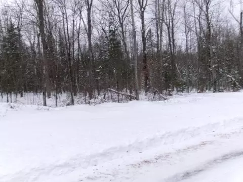 0000 Irish Rd, Exeland, WI 54835