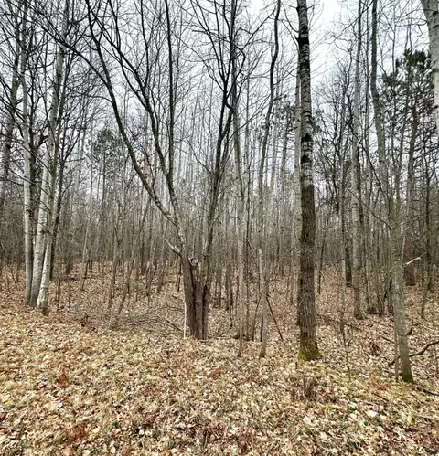 lot1 165- Acres 295th Ave, Holcombe, WI 54745