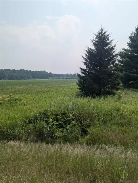 lot4 County Hwy W, Holcombe, WI 54745