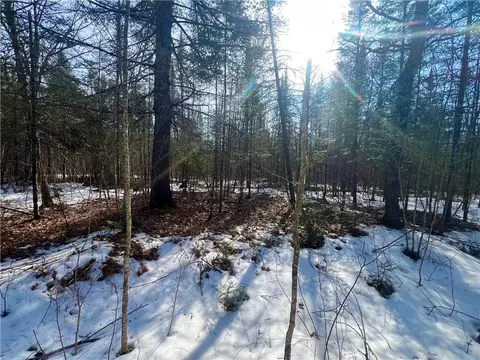 38 Acres Borrie Rd, Couderay, WI 54828