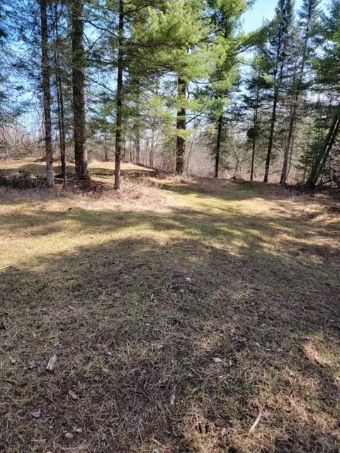 On Luds Lane, Loretta, WI 54896