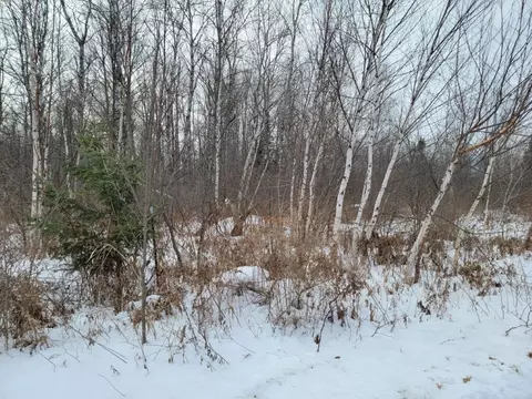 5 Acres Off Weirgor Rd, Exeland, WI 54835