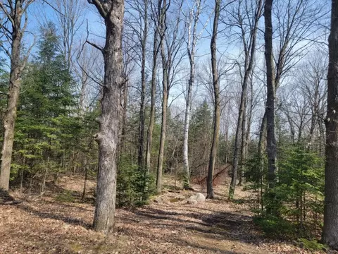 Exterior - n7586 West Cherry Road, Phillips, WI 54555 photo 6 of 6