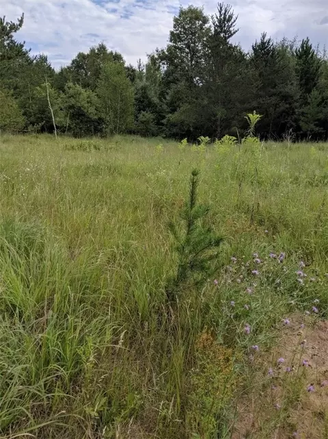 000 Williams Rd, Shell Lake, WI 54871 photo 17