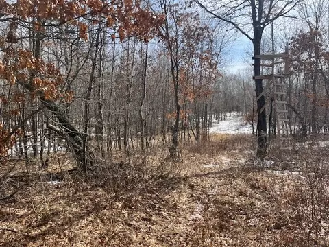 000 Williams Rd, Shell Lake, WI 54871 photo 8