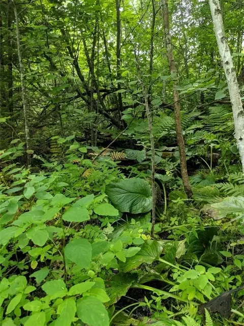 000 Williams Rd, Shell Lake, WI 54871 photo 20