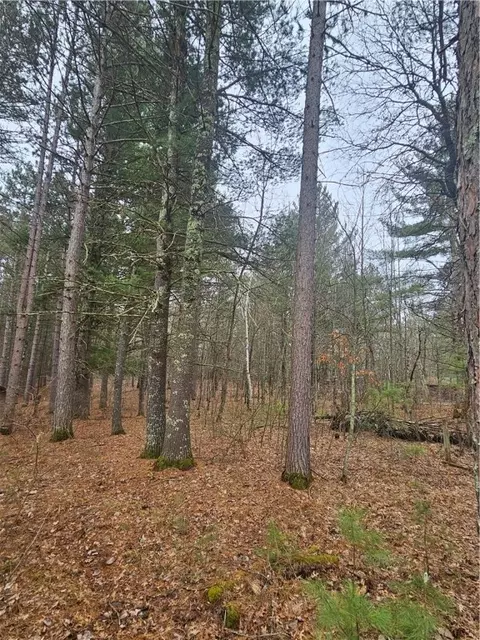 tbd 1 Pine Chip Dr, Barnes, WI 54873 photo 9
