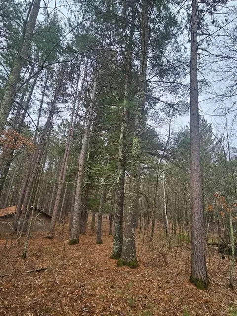 tbd 1 Pine Chip Dr, Barnes, WI 54873 photo 8