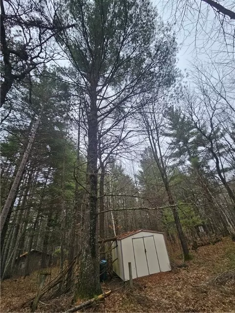 tbd 1 Pine Chip Dr, Barnes, WI 54873 photo 12