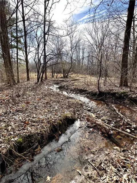 20 Acres 15th St, Clayton, WI 54004