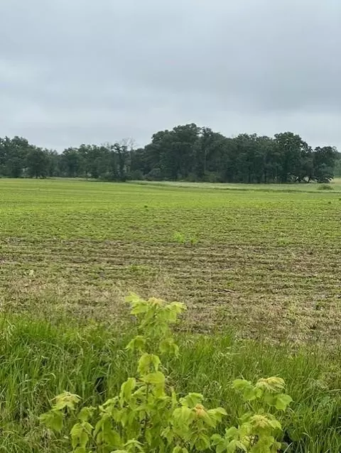 00 County Road F, Eleva, WI 54738 photo 3
