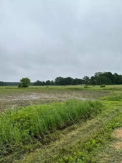 00 County Road F, Eleva, WI 54738 photo 13