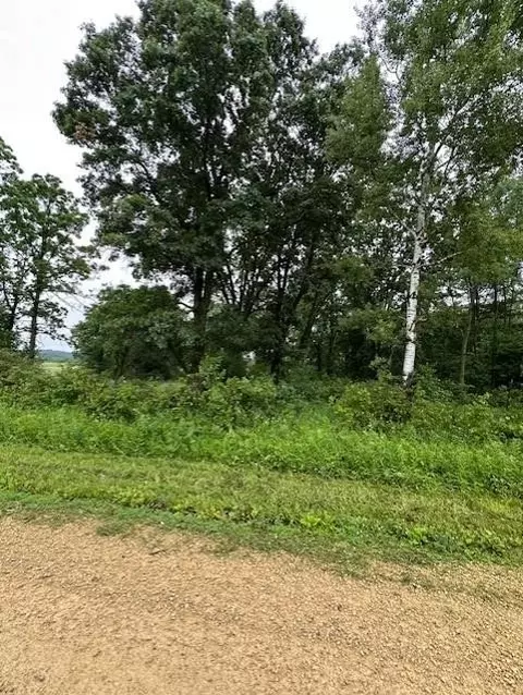 00 County Road F, Eleva, WI 54738 photo 6