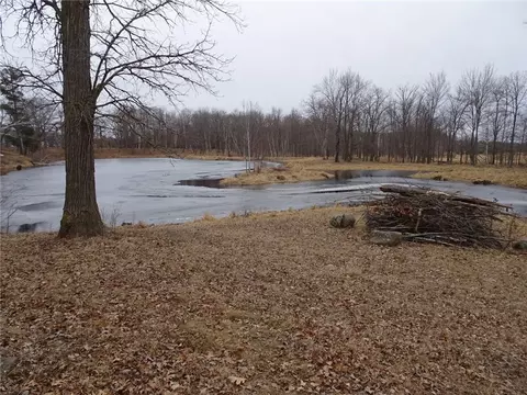 900 270th, Luck, WI 54853 photo 16