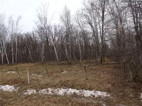900 270th, Luck, WI 54853 photo 26